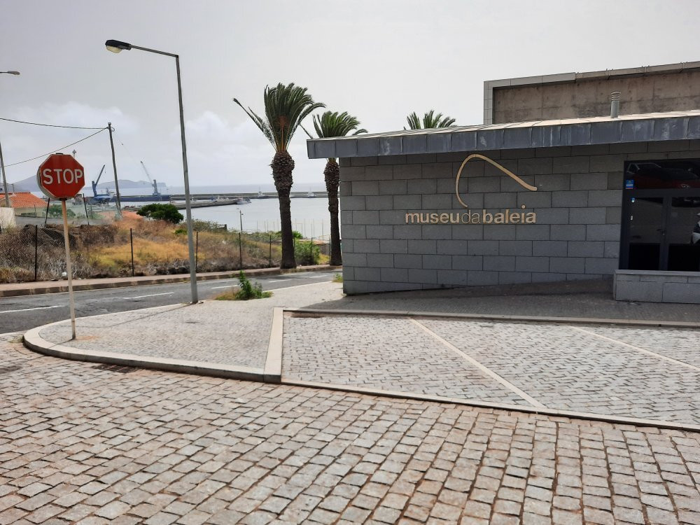 Museu da Baleia da Madeira景点图片