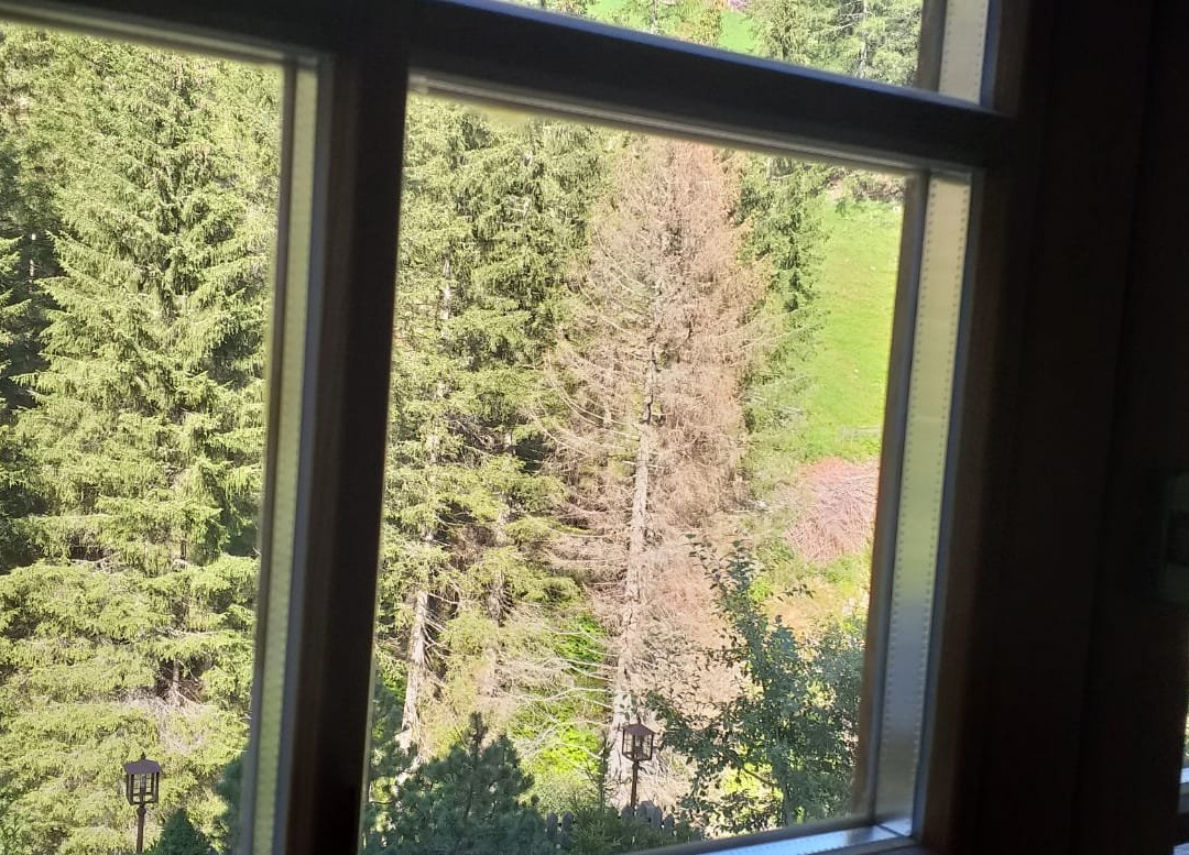 Hotel Weiberhimmel-Alpinlounge主图