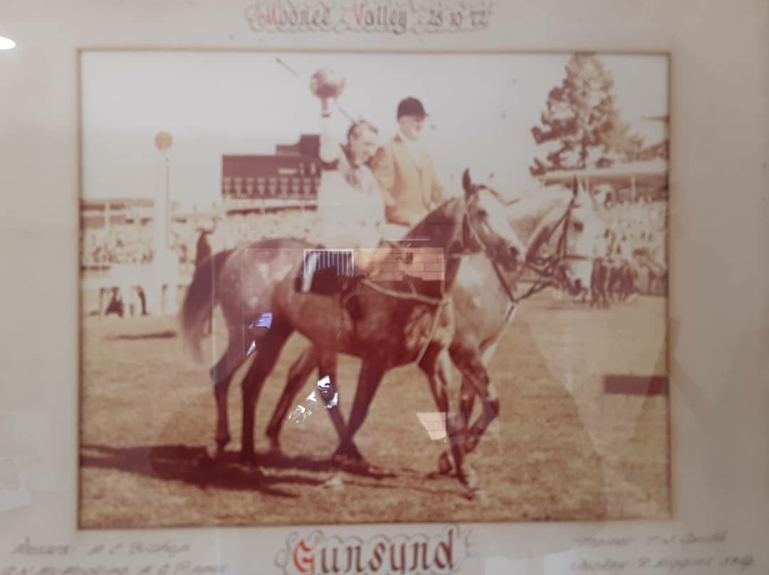 Gunsynd Motor Inn主图