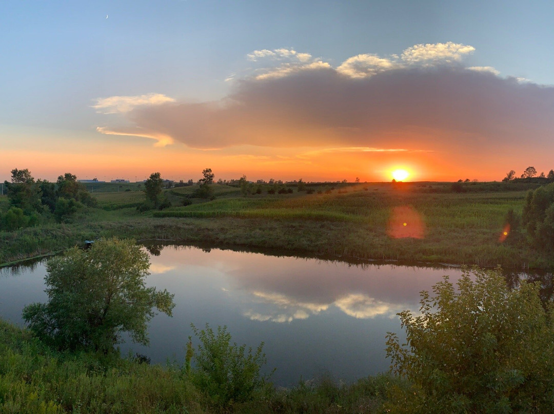 Cobblestone Inn & Suites - Newton主图