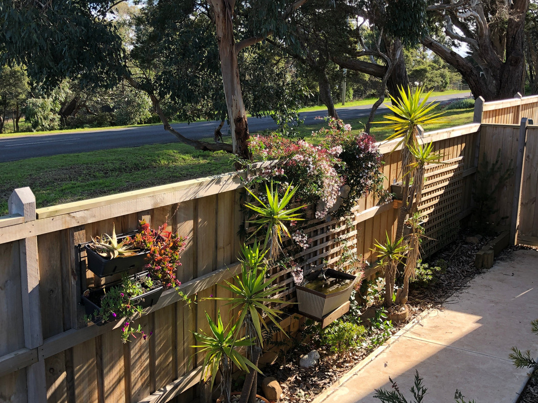 Snapper House Bed & Breakfast主图