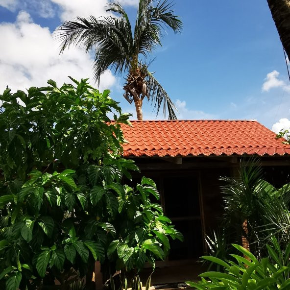 Posada del Brujo主图