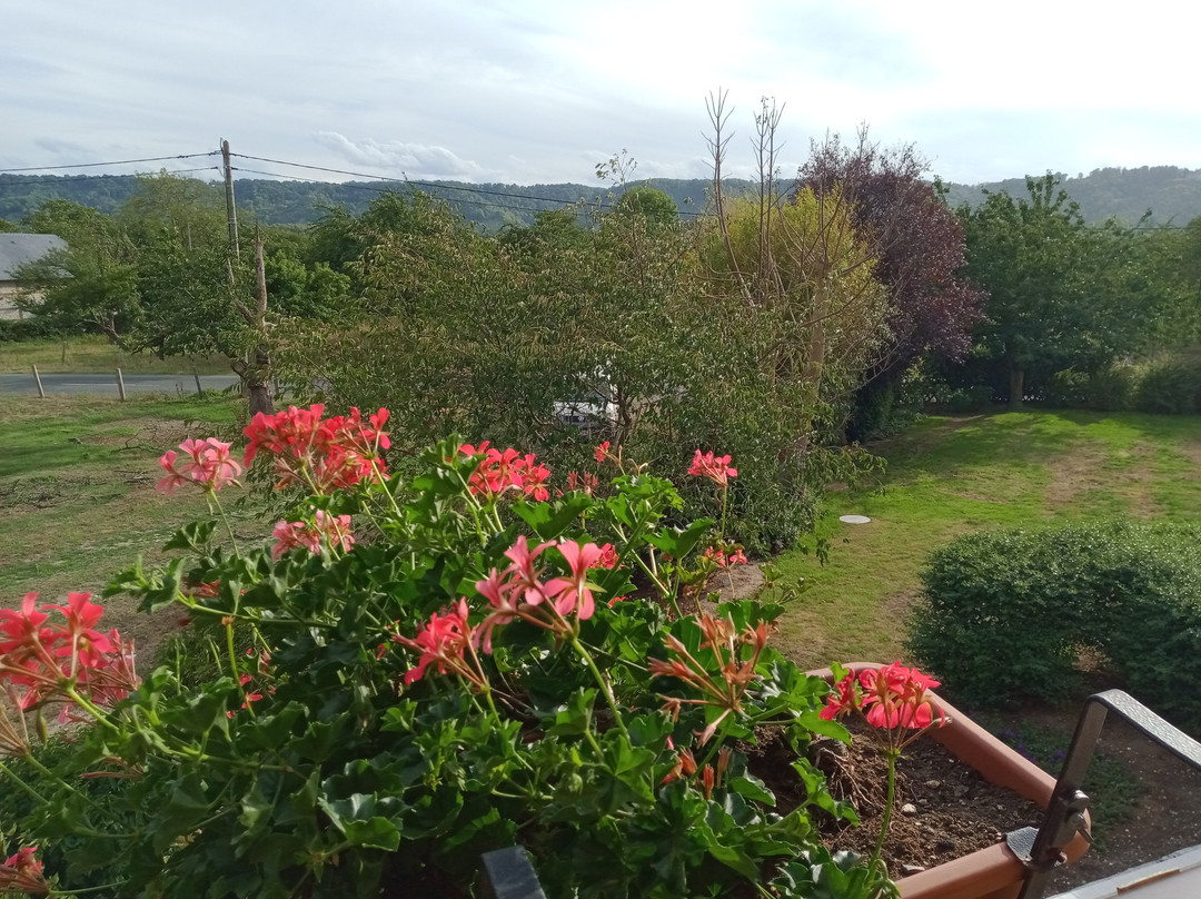 樱桃时酒店主图