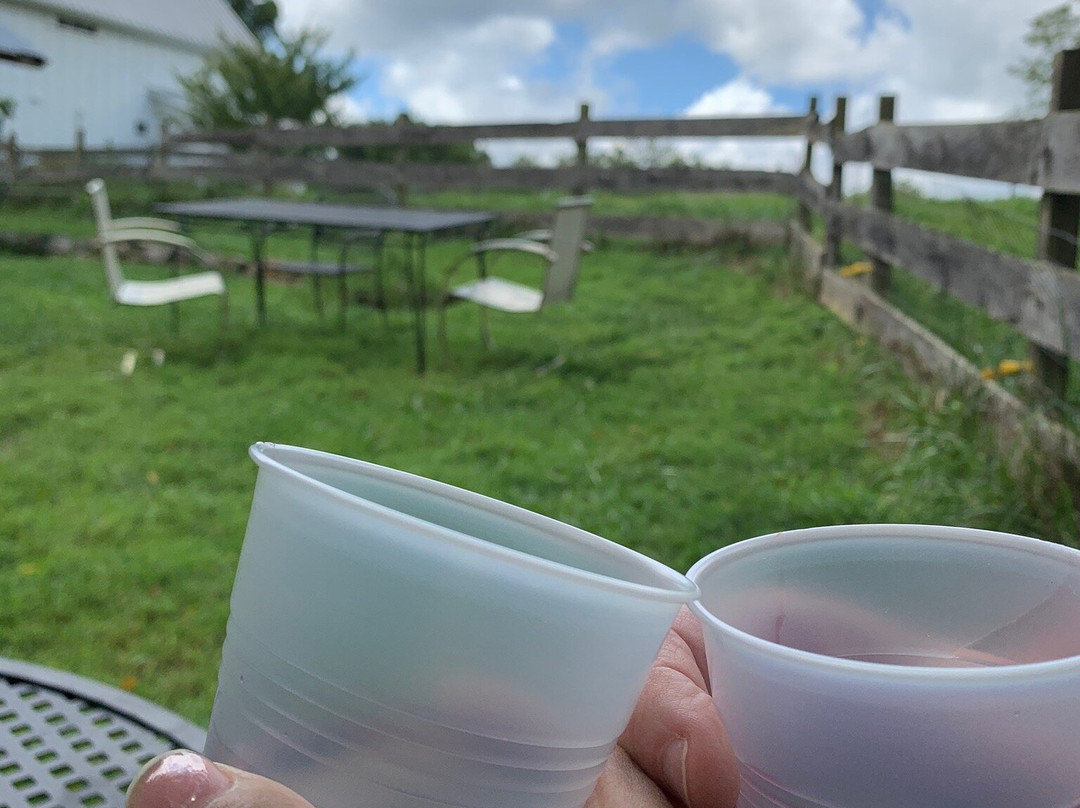 Looking Glass Creamery景点图片
