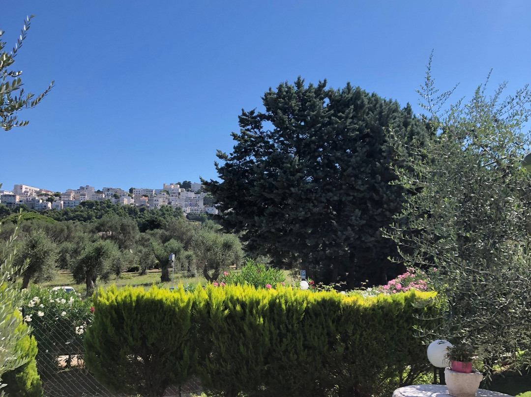 帕西菲卡别墅民宿主图