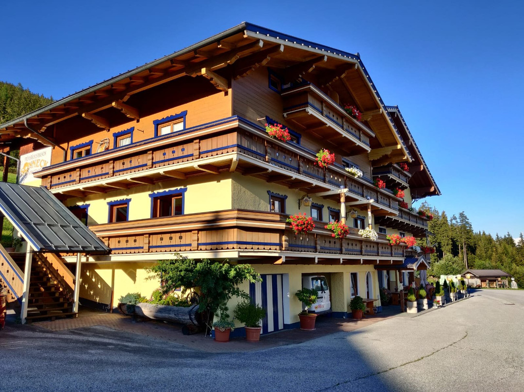 Pension Sonneck主图