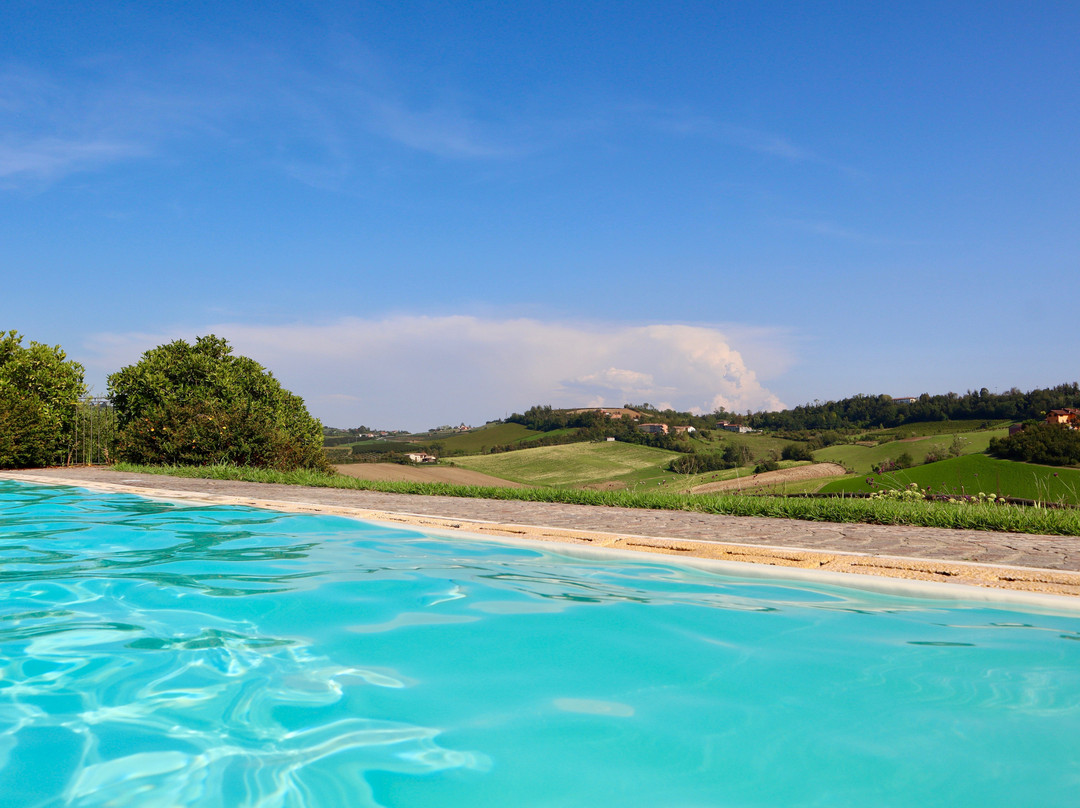 SPINEROLA  Hotel Nidum, Restaurant Godezia, Spa Arborea主图