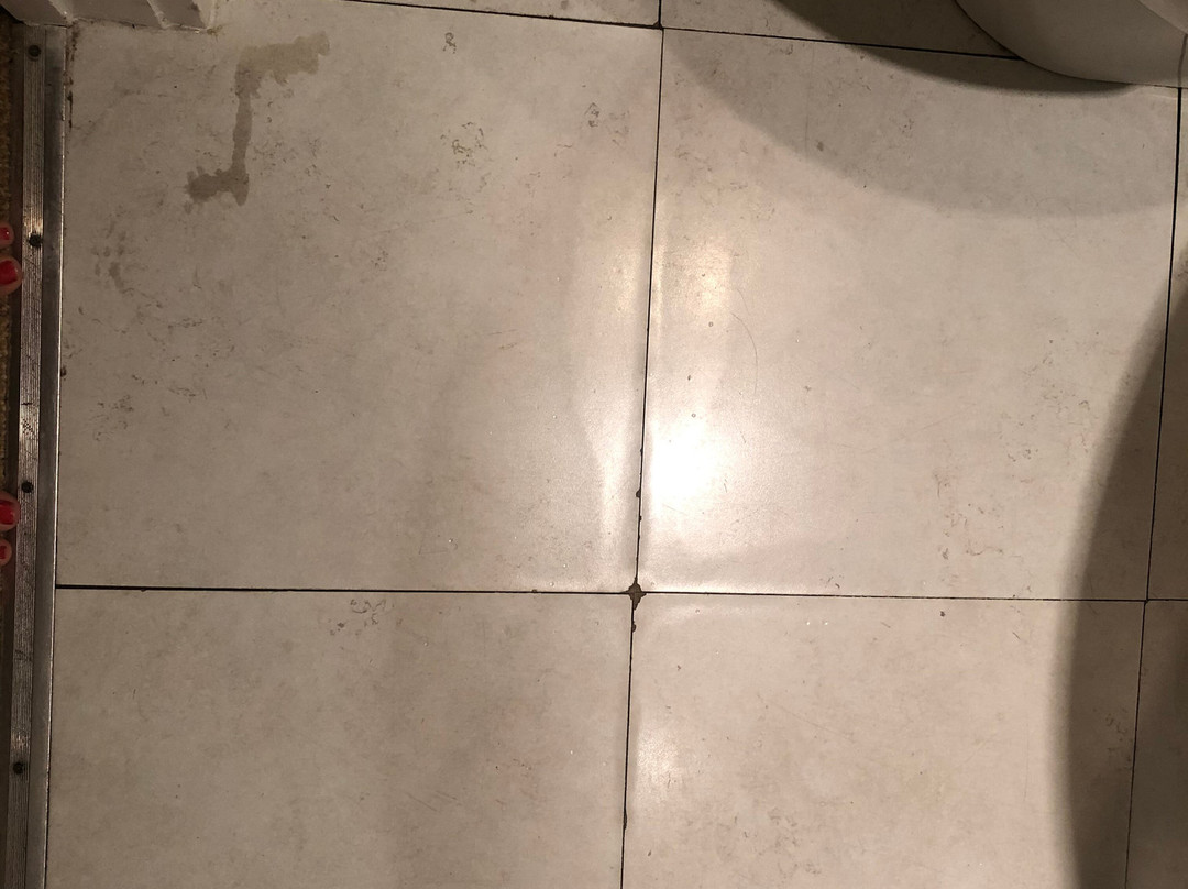 The Bear Hotel主图