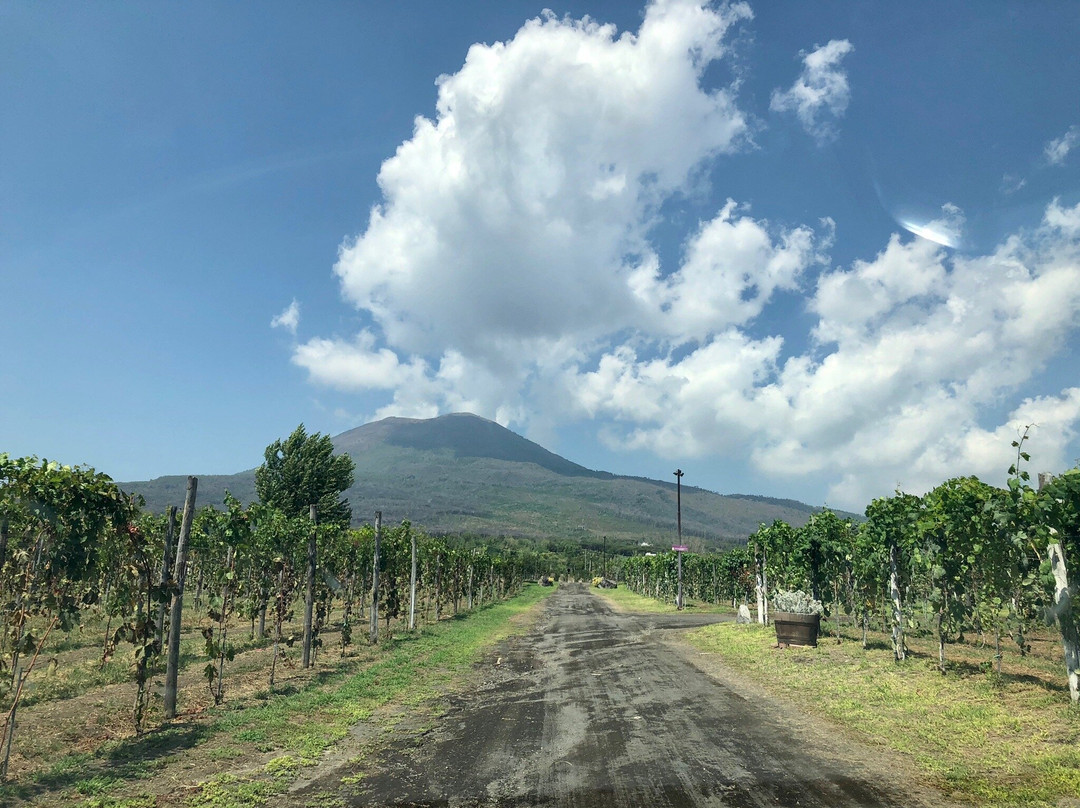 Blackbeard Limos-索伦托必去景点