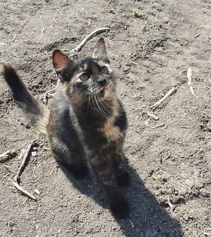 Russian Watermelon Museum (Rossiyskiy Arbuz)-Kamyzyak必去景点