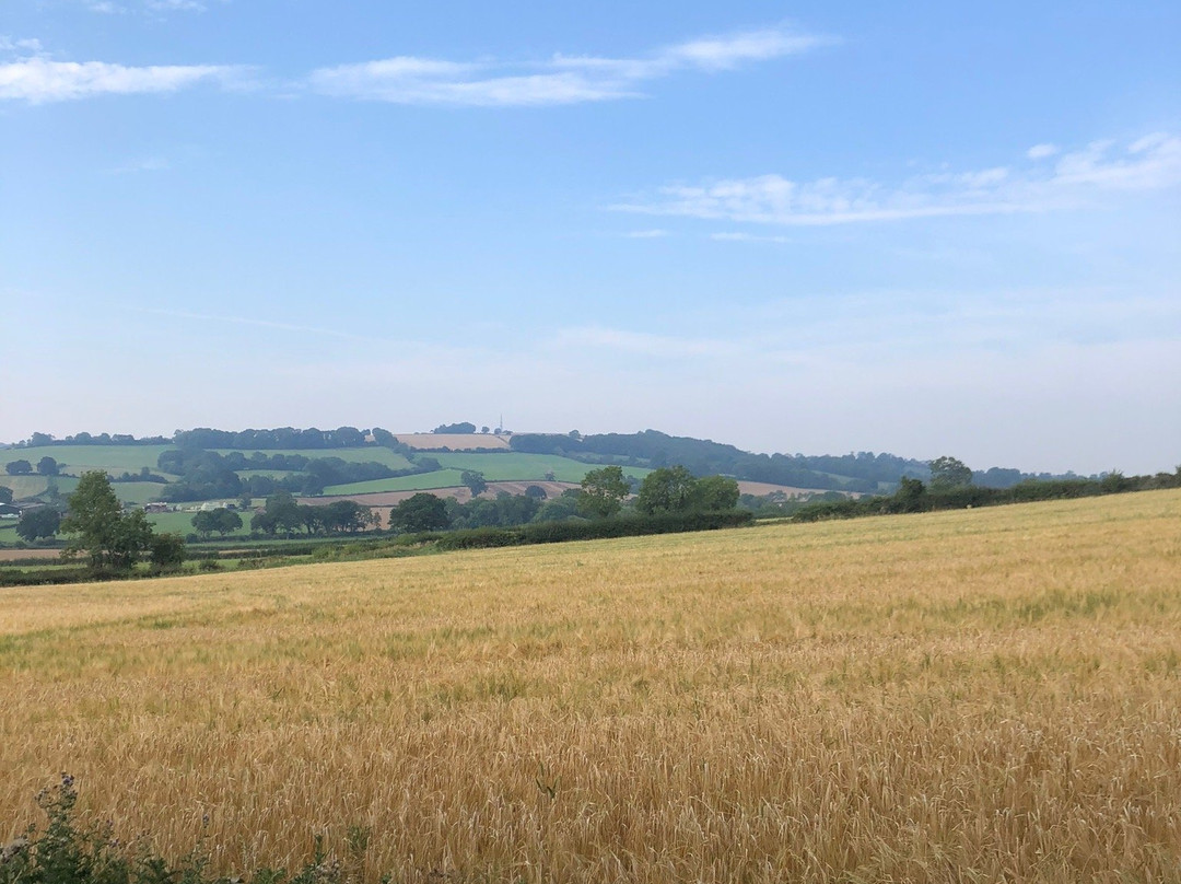 Corsham Field Farmhouse主图