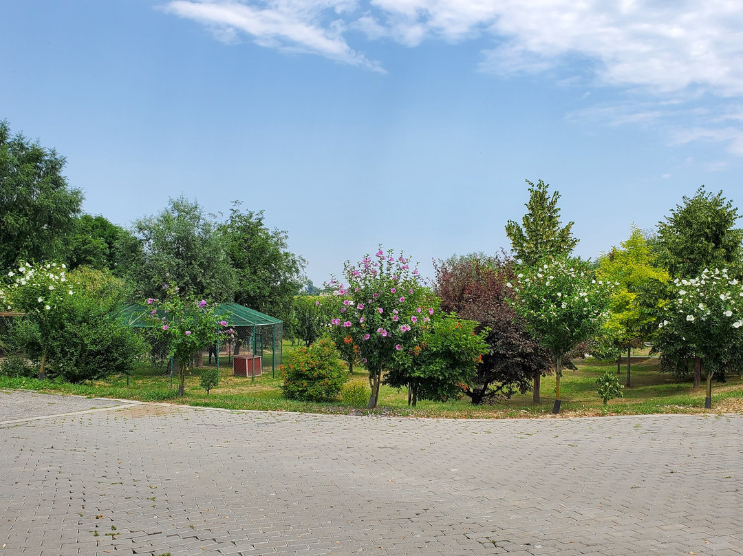 Chateau Erken景点图片