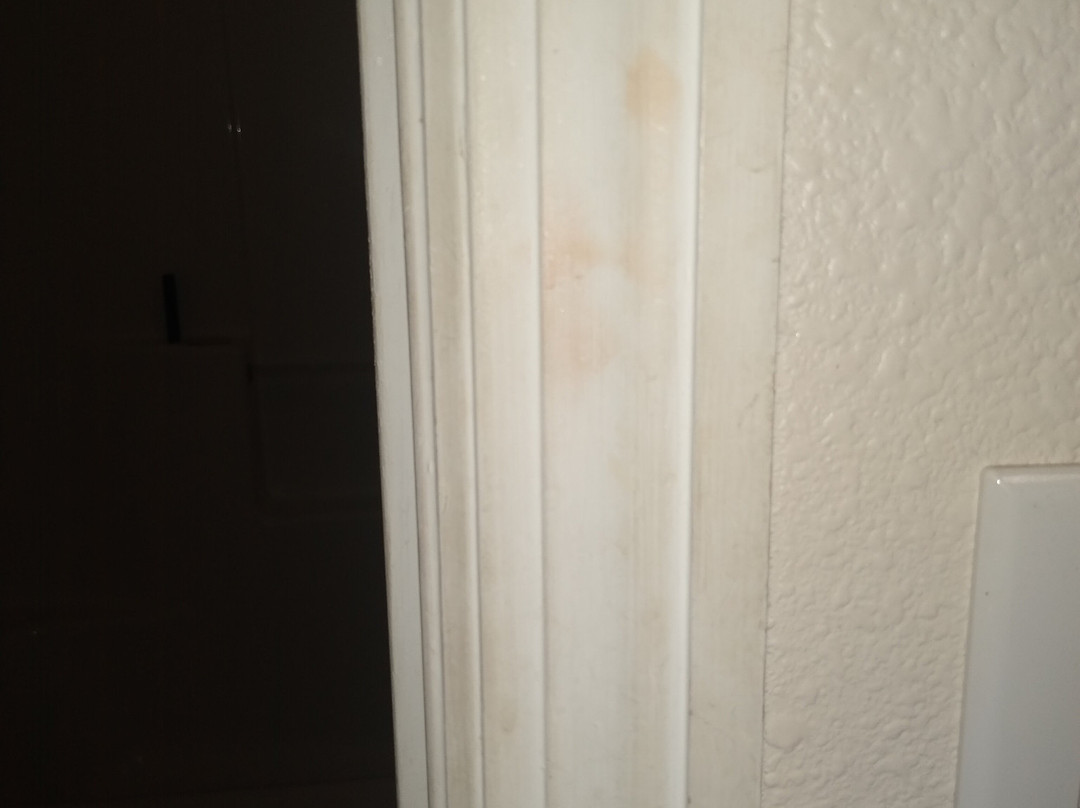 Grand Vista Hotel主图