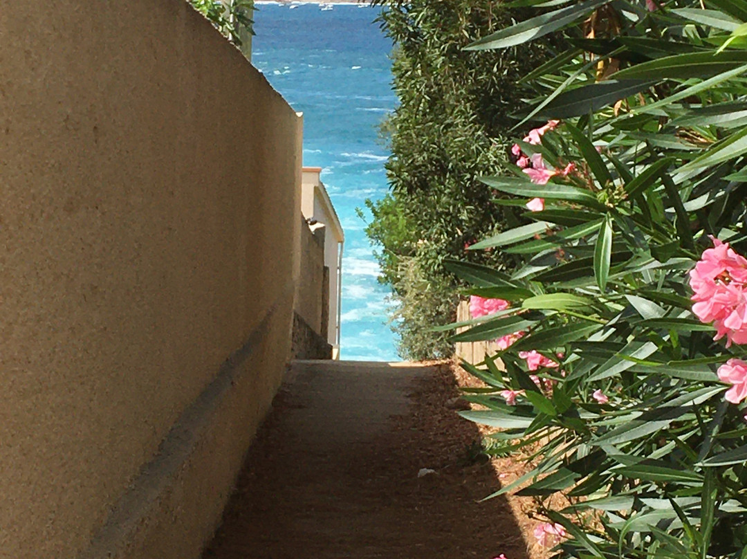 A Marina主图