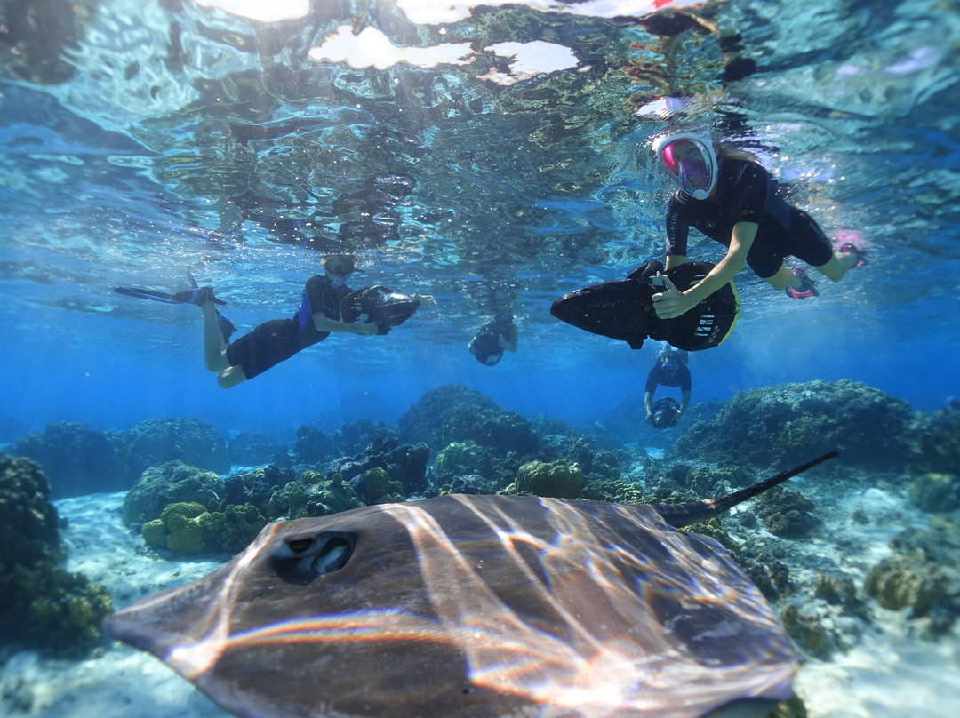 Moorea Water Games景点图片