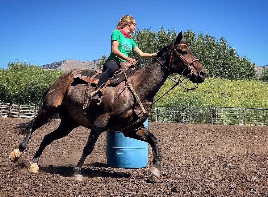 Introduction To Rodeo-威尔逊必去景点