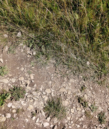 La tourbiére de Prénovel-Prenovel必去景点