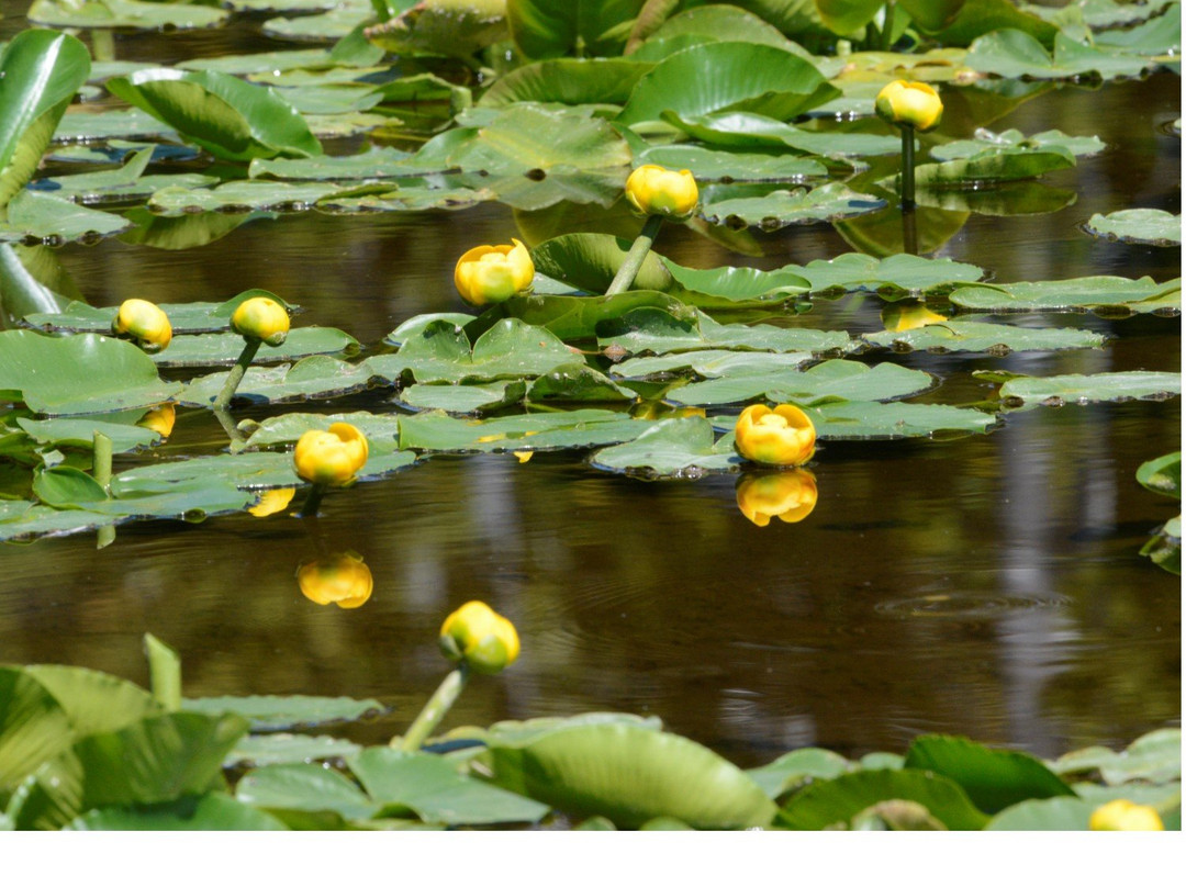 Anthony Lakes Campground-Haines必去景点