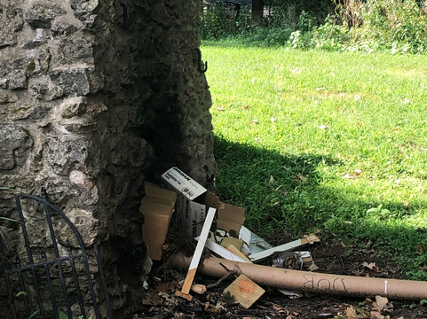 Victorian Mansion主图