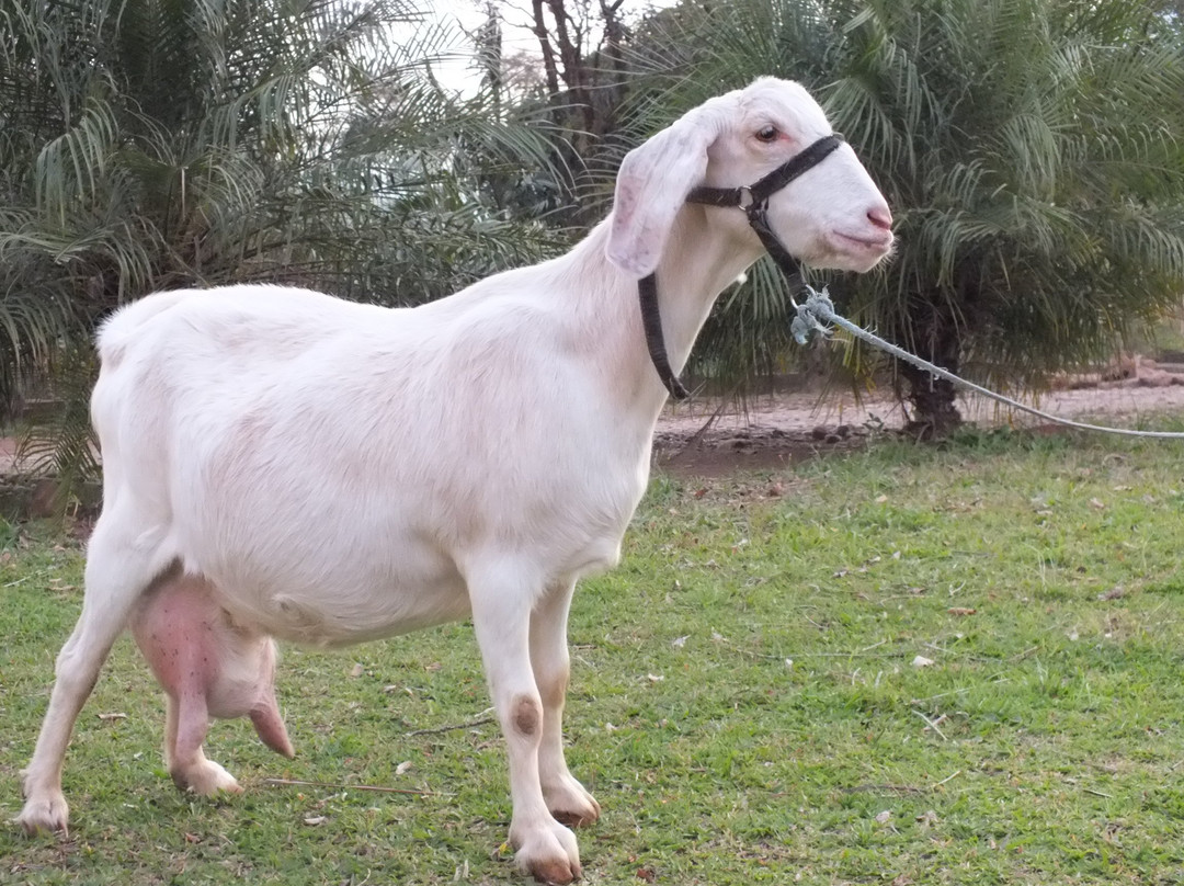 Sitío Da Vó Bete-Praia Grande必去景点