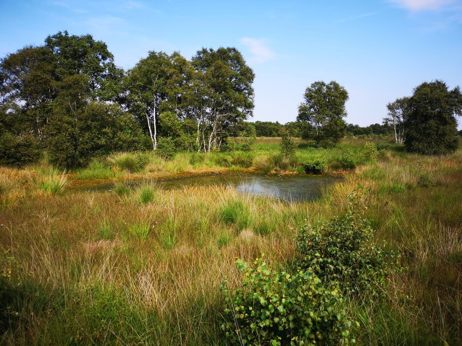 Ewiges Meer-Dornum必去景点