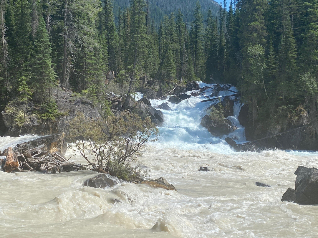Kicking Horse River景点图片