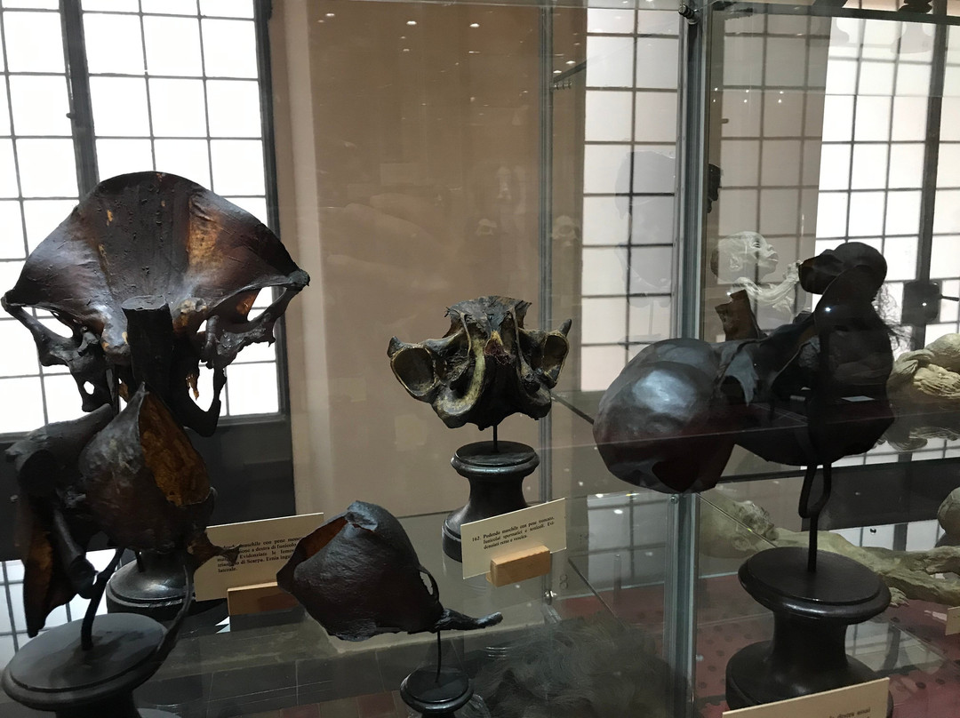 Museo Di Paolo Gorini-洛迪必去景点