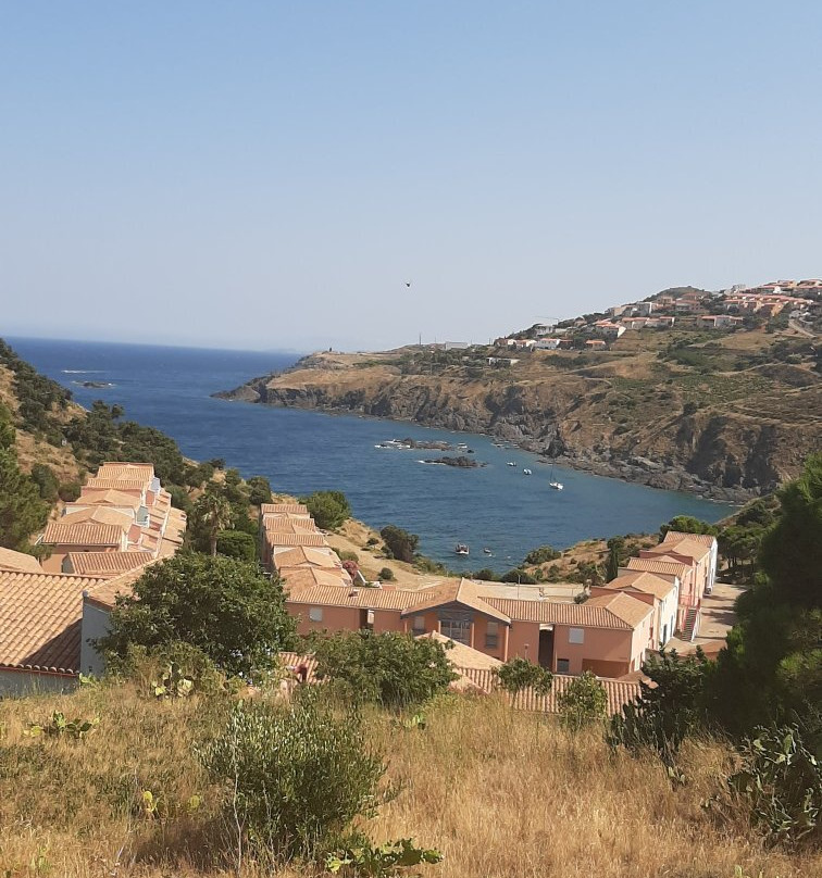 Lagrange Grand Bleu Vacances – Résidence Le Village des Aloès主图