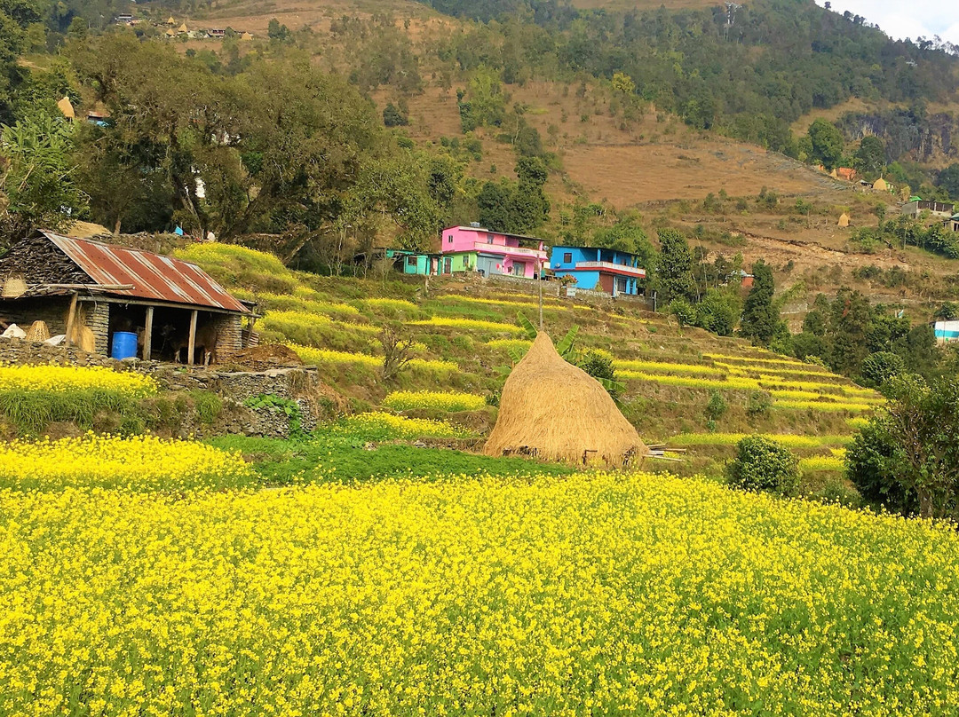 EEM Travels-博卡拉必去景点