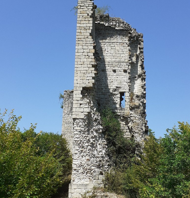 Tours de Carbonnieres景点图片