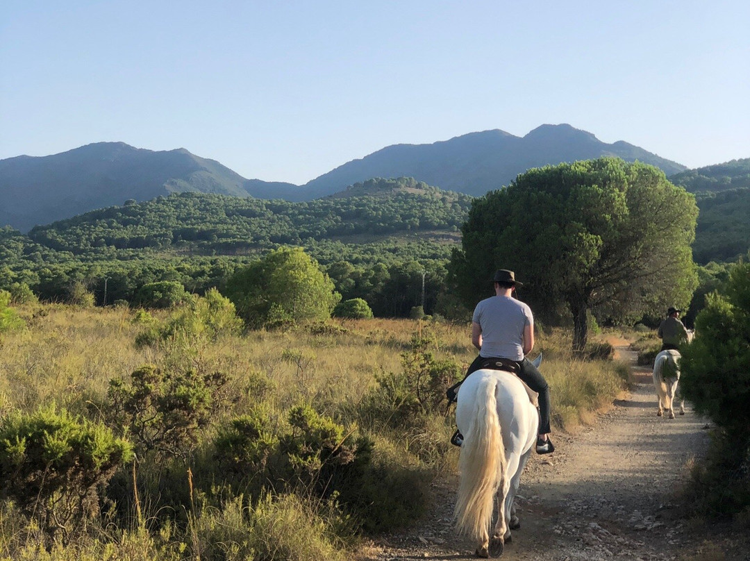 Ride With Me, Ride In Spain景点图片