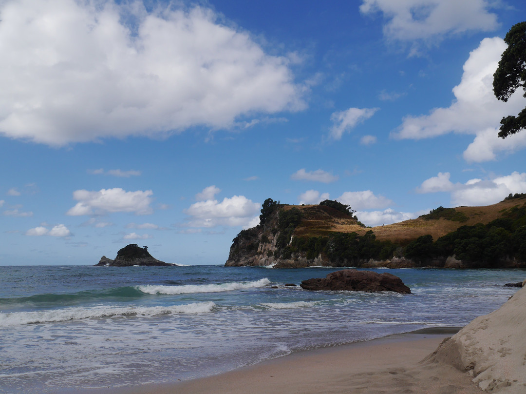 Hahei Beach Walk-哈海必去景点