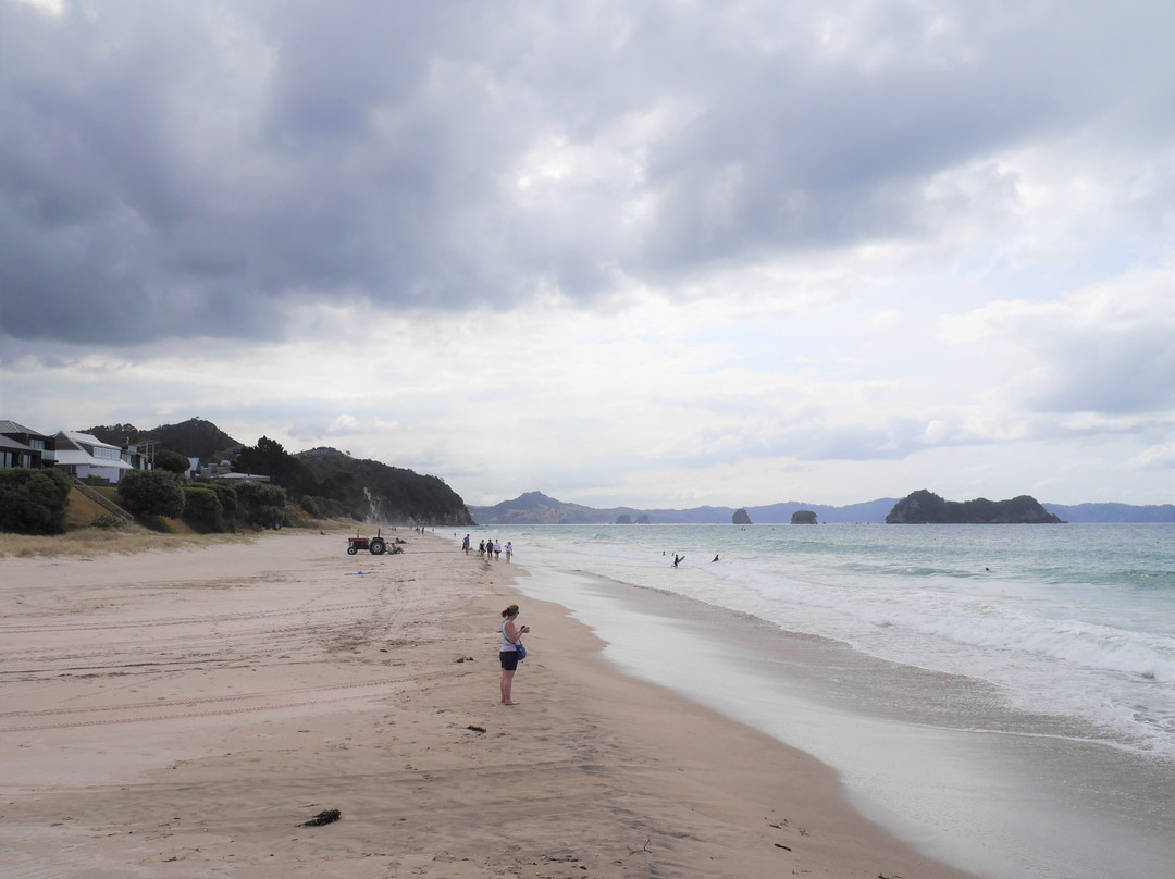 Hahei Beach Walk-哈海必去景点