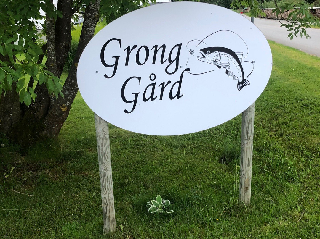 Grong Farm and Guesthouse主图