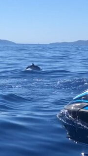 Jet 007-莱拉旺杜必去景点