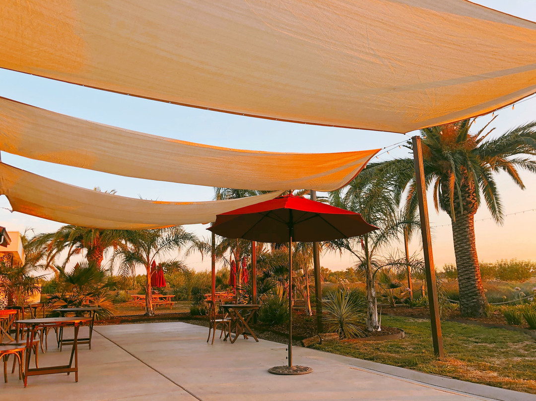 Great Bear Vineyards-戴维斯必去景点