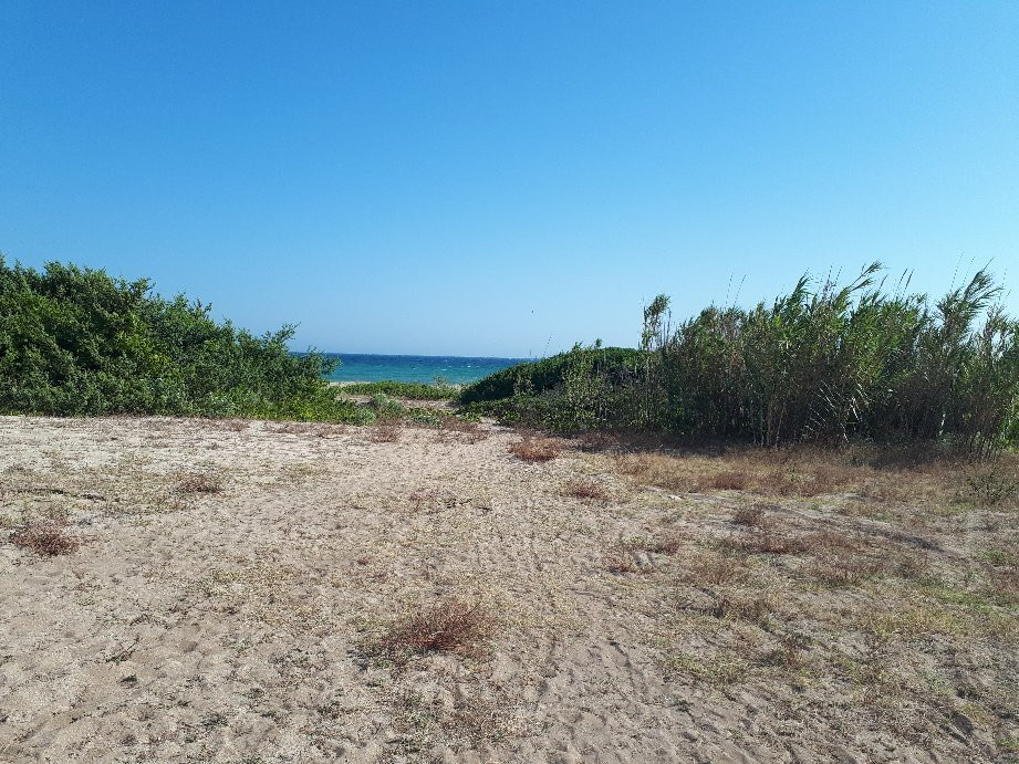 Spiaggia di Borraco景点图片