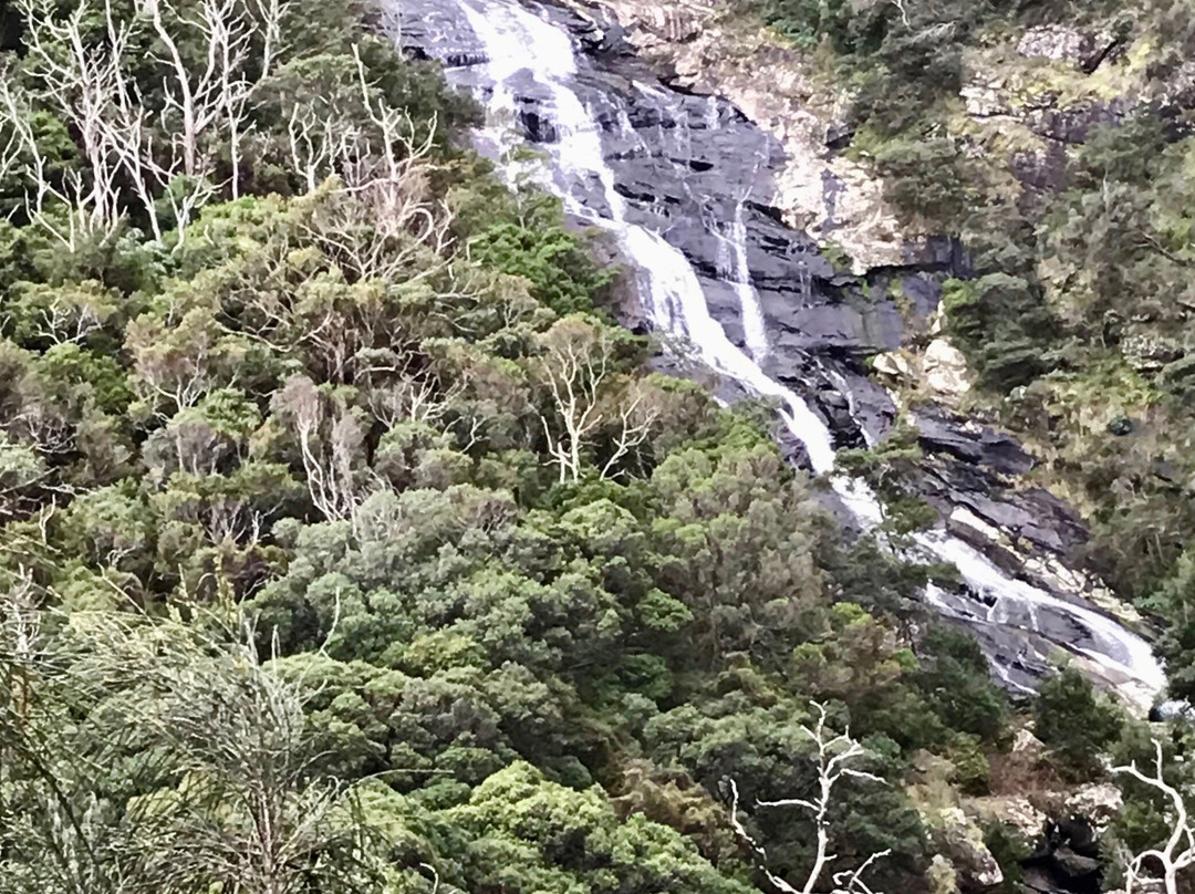 Carisbrook Waterfall-Wongarra必去景点