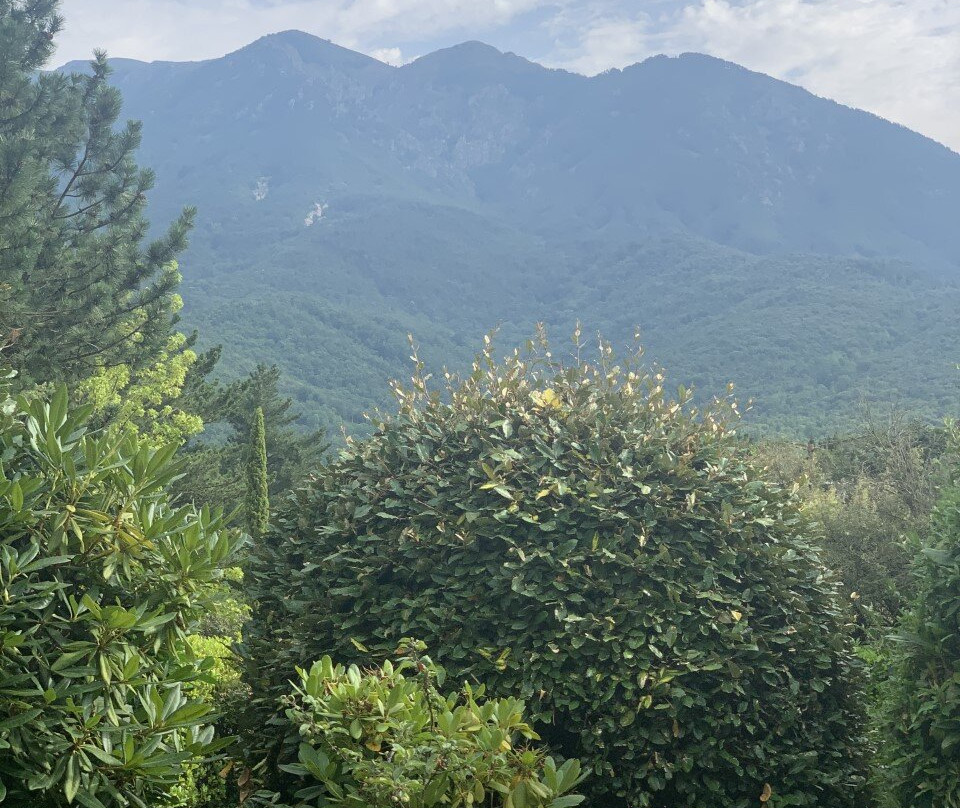 Gran Castanyer主图