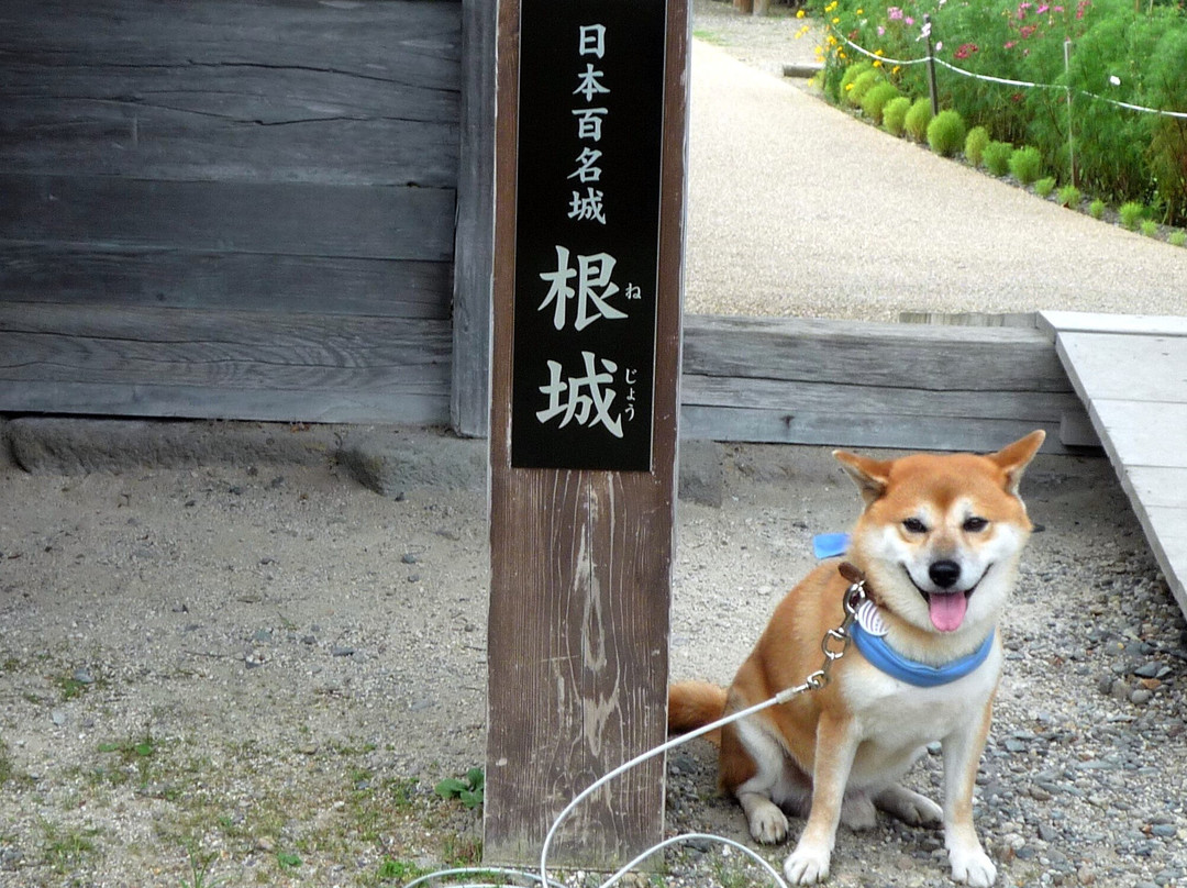 Nejyo Castle-八户市必去景点