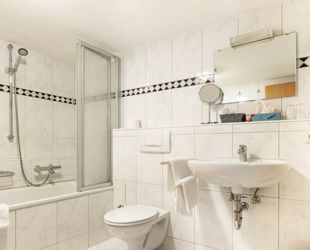 Hotel Landgasthof zum Pflug主图