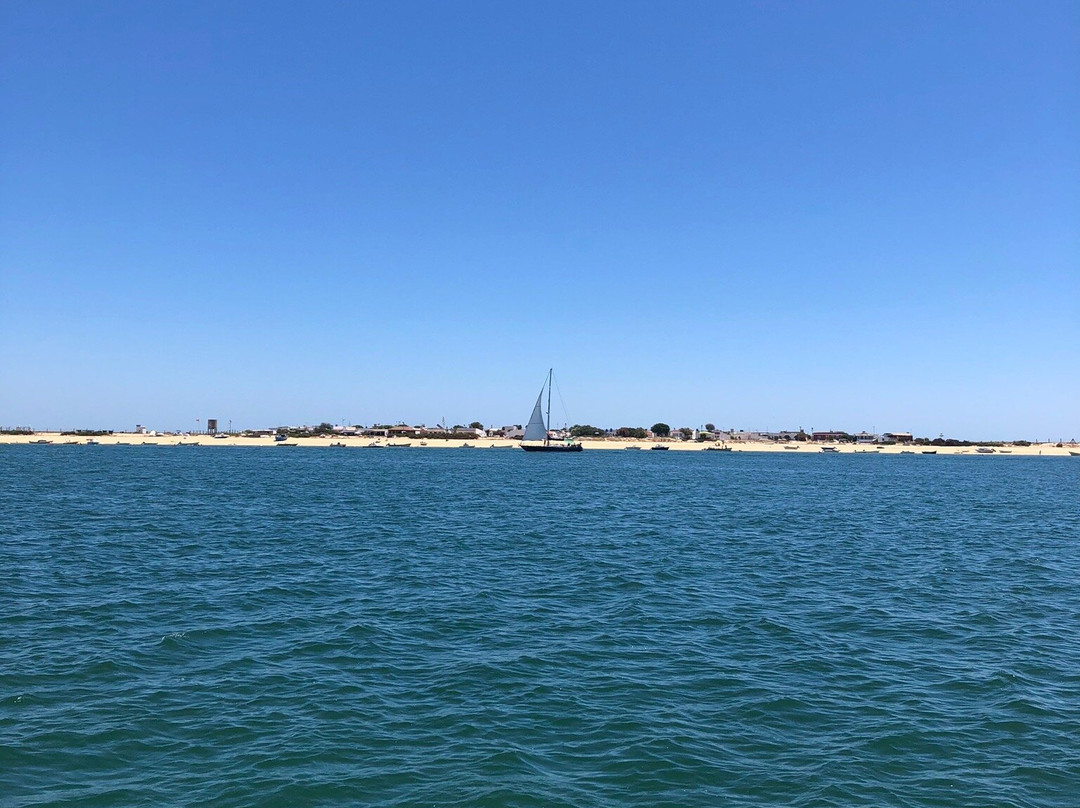 Ria Formosa Boat Tours - Algarve Day Trips景点图片