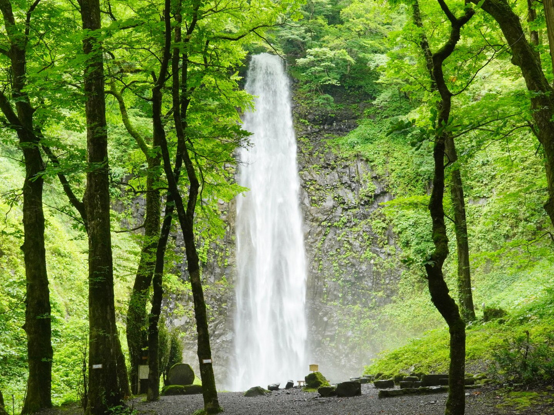Tamasudare Fall-酒田市必去景点