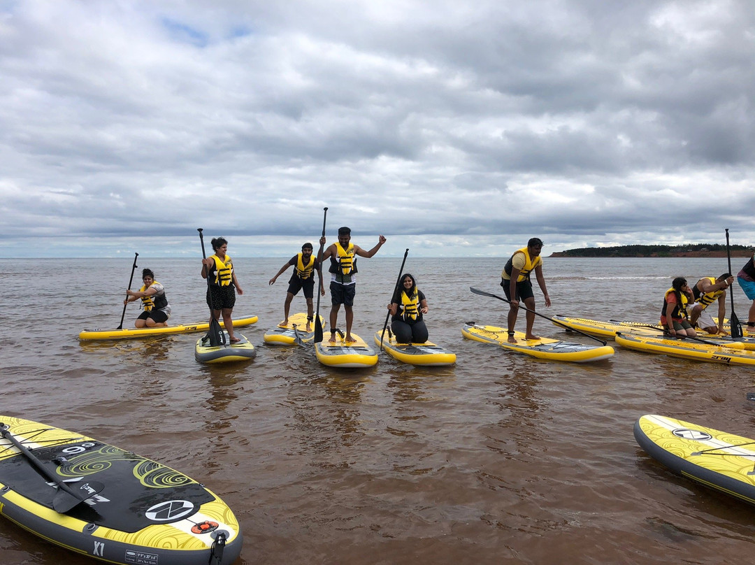 East Coast Paddle Adventures景点图片