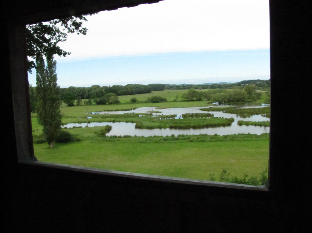 Biotop Beeden-Homburg必去景点