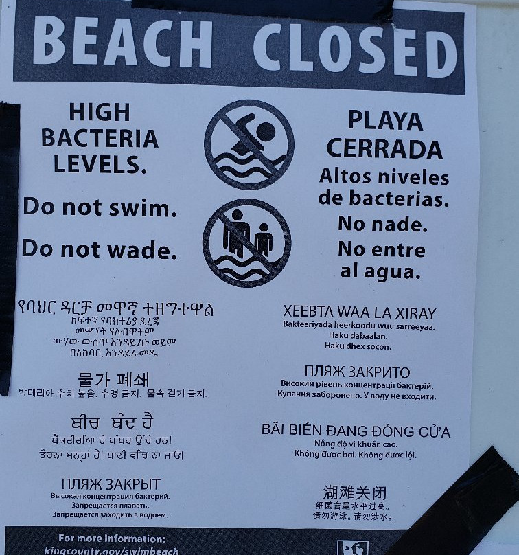 Doris Cooper Houghton Beach Park-柯克兰必去景点