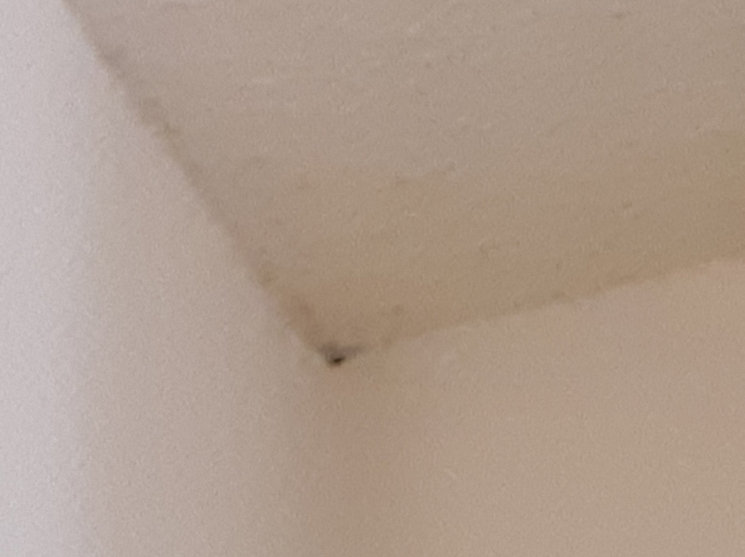 Sure Stay Plus By Best Western St Marys主图