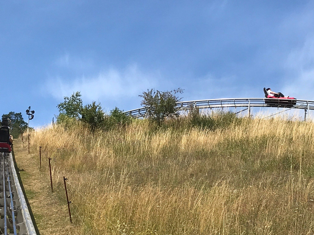 Wippraer Rodelbahn-Wippra必去景点