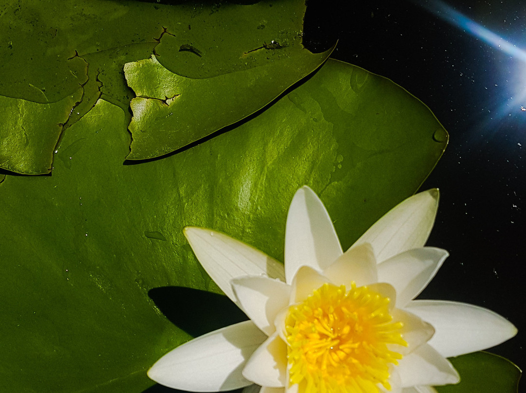 Doru Ecotourism主图