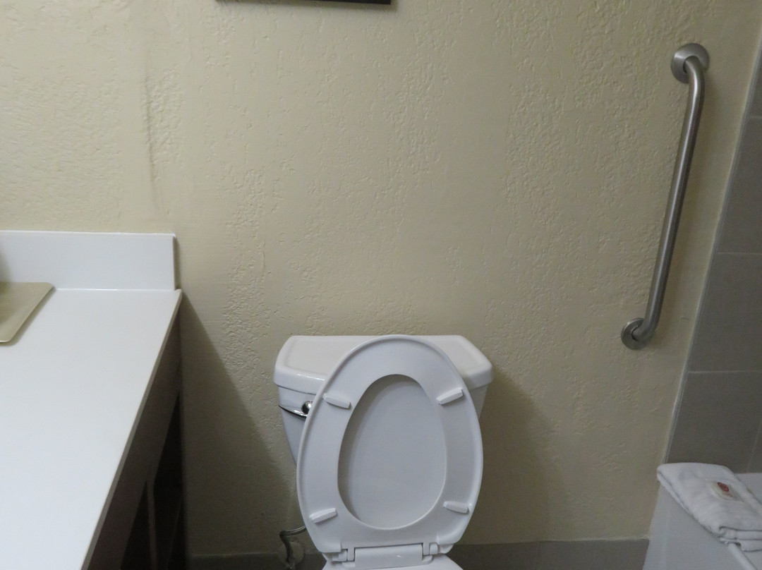 Comfort Inn Madison主图